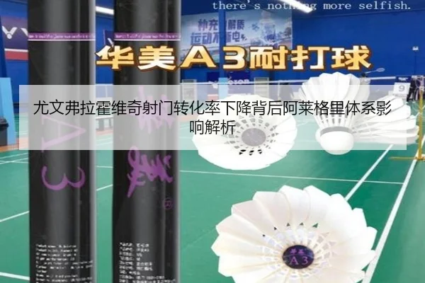 尤文弗拉霍维奇射门转化率下降背后阿莱格里体系影响解析