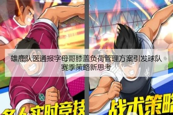 雄鹿队医通报字母哥膝盖负荷管理方案引发球队赛季策略新思考